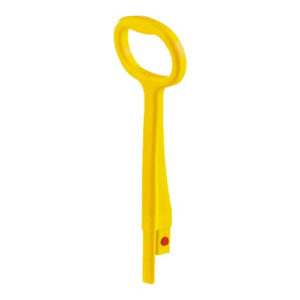 Asa amarilla carro Nick